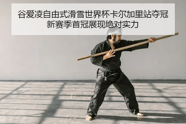 gu-ai-ling-zi-you-shi-hua-xue-shi-jie-bei-ka-er-jia-li-zhan-duo-guan-xin-sai-ji-shou-guan-zhan-xian-jue-dui-shi-li-2-659.jpg